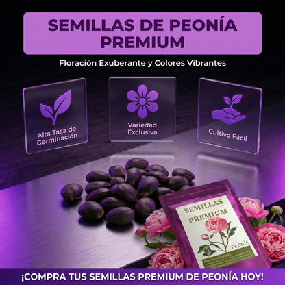 Semillas PREMIUM de Peonias ( 20 gramos )