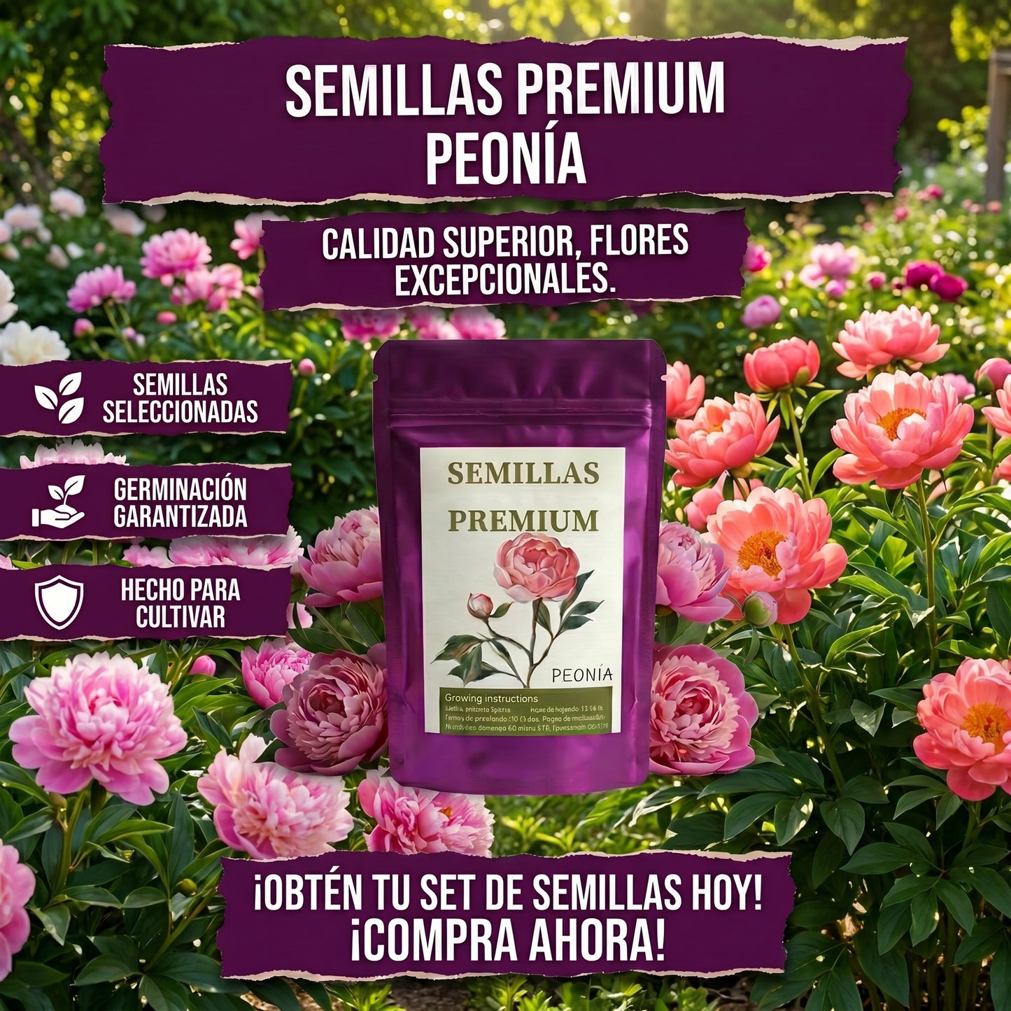 Semillas PREMIUM de Peonias ( 20 gramos )