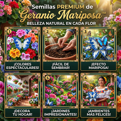 Semillas PREMIUM de Geranio Mariposa