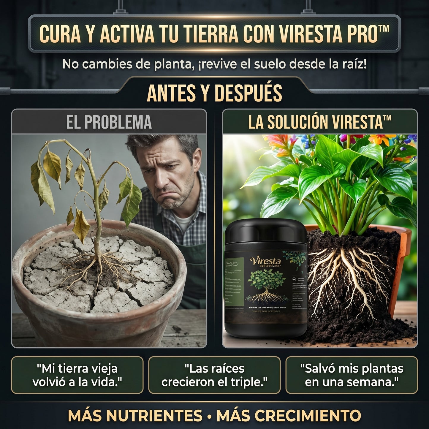 Viresta - Revitalizador de suelo