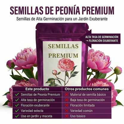 Semillas PREMIUM de Peonias ( 20 gramos )