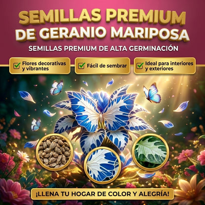 Semillas PREMIUM de Geranio Mariposa