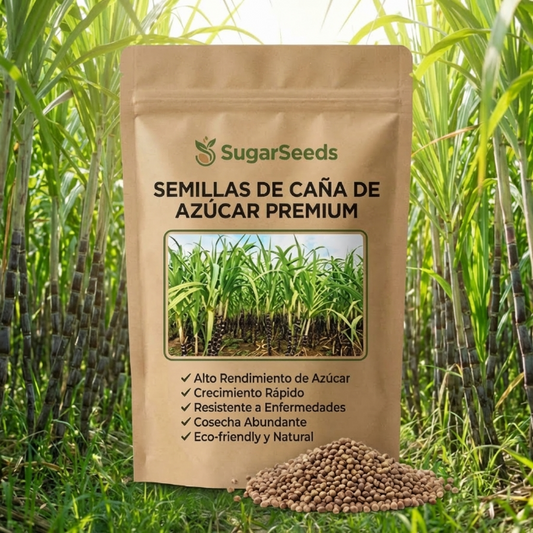SugarSeed® Semillas PREMIUM Caña de Azúcar Tropical