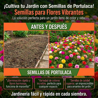 Semillas PREMIUM de Portulaca